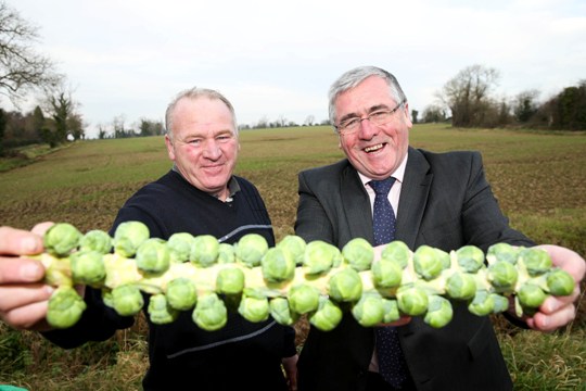 Minister Hayes with grower Enda Weldon at the Weldon Family farm in North Co Dublin